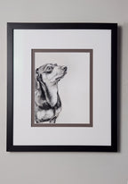 Framed black and white portrait of a dog on a plain wall