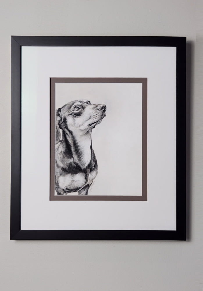 Framed black and white portrait of a dog on a plain wall