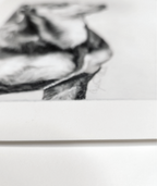 Close-up of a dachshund drawing on pastelmat