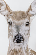 Original deer drawing details
