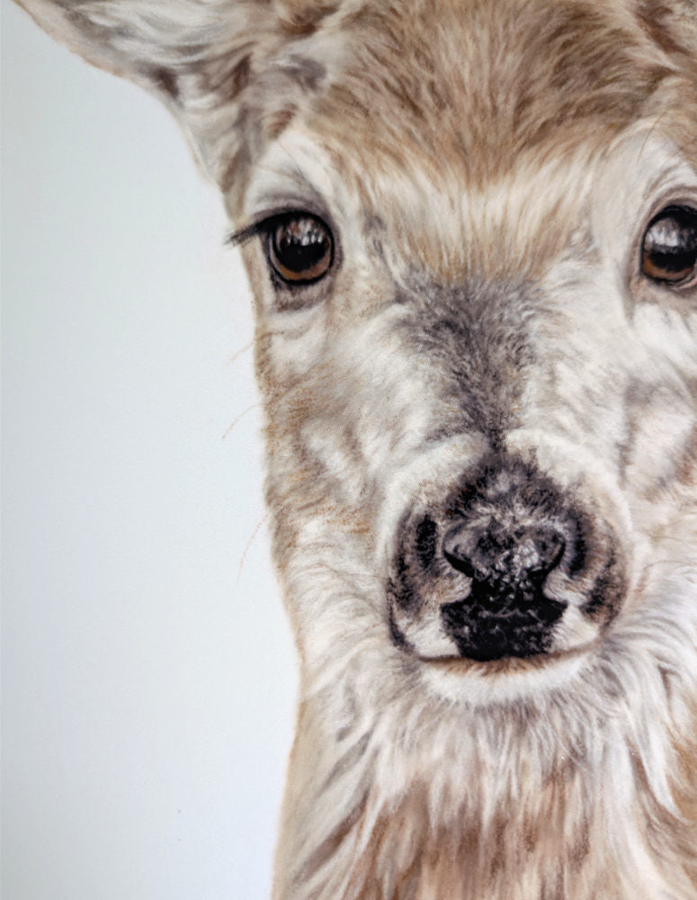 Close up of the drawing 'Grace' a deer drawn by Crystal Clarke 