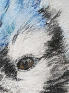 pastel drawing detail of a blue jay