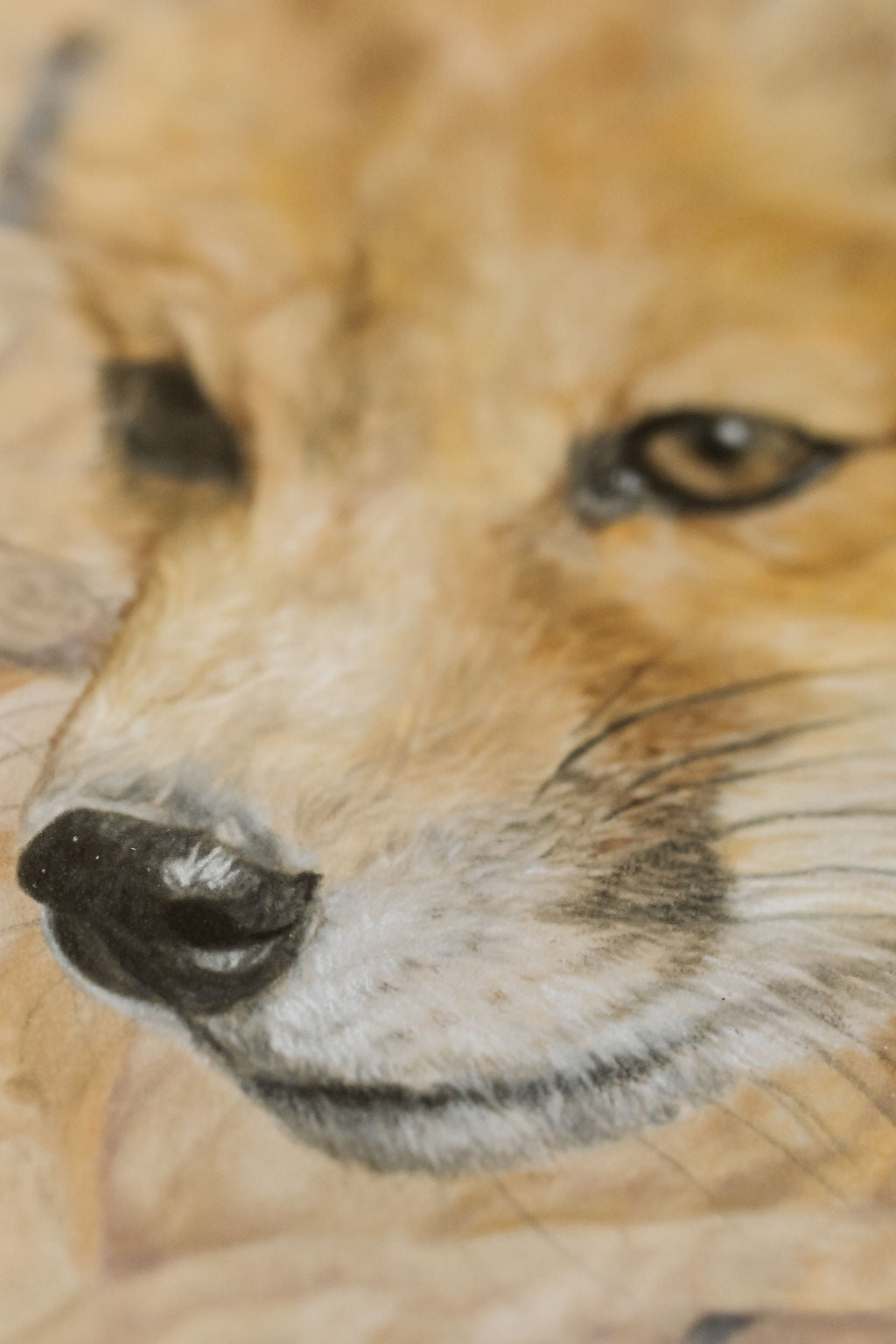 Close-up of a pastel drawing of foxes face with a blurred background