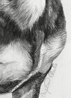 Detail of pastel drawing of dachshund with artist signature