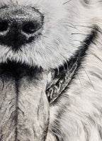 Close-up of the dog smile pastel drawing with detailed fur and features.