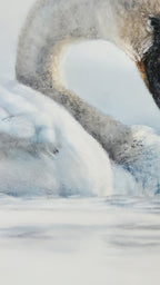 Close-up of a swan's neck and head with water in the background drawn in pastel