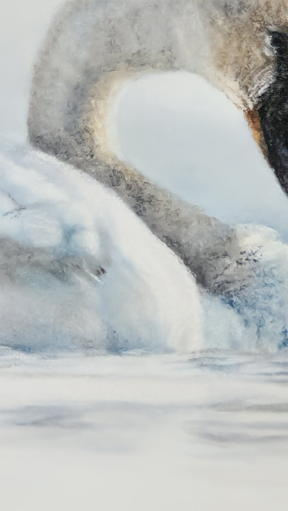 Close-up of a swan's neck and head with water in the background drawn in pastel