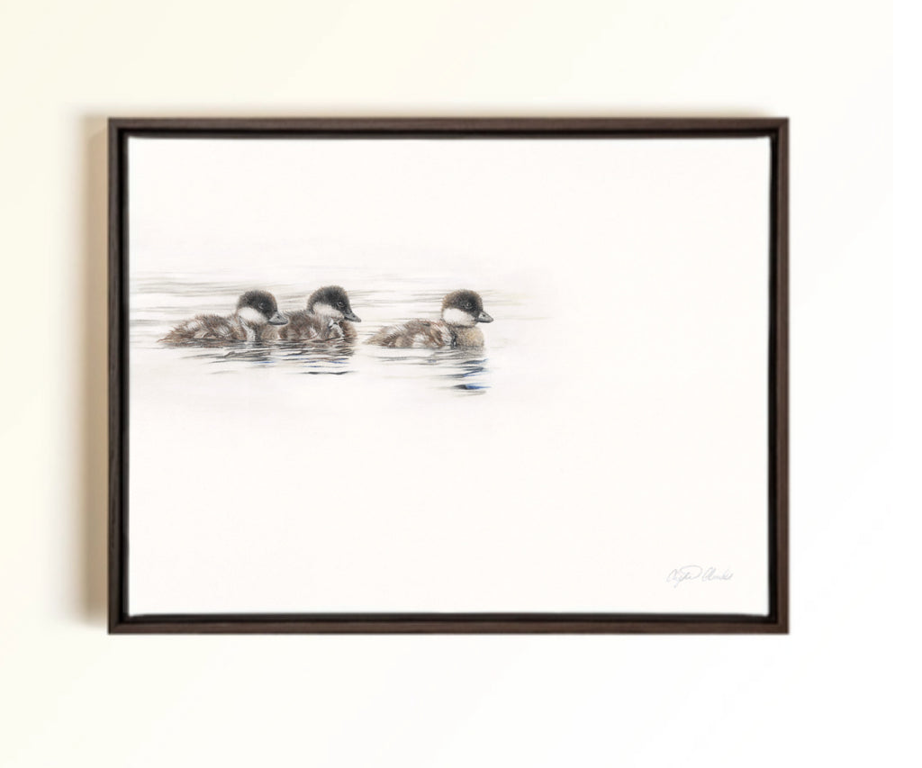 A framed pastel artwork of three ducklings swimming on a white background, enclosed in a dark brown wooden frame and mounted on a light beige wall. Drawn by Crystal Clarke