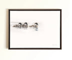 A framed pastel artwork of three ducklings swimming on a white background, enclosed in a dark brown wooden frame and mounted on a light beige wall. Drawn by Crystal Clarke