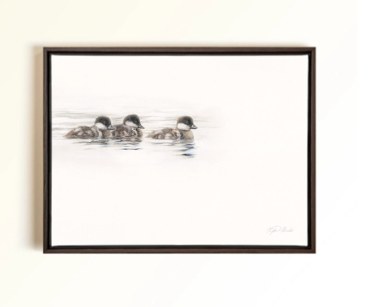 A framed pastel artwork of three ducklings swimming on a white background, enclosed in a dark brown wooden frame and mounted on a light beige wall. Drawn by Crystal Clarke