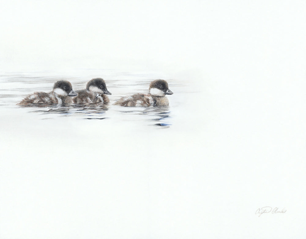 Three ducklings swimming together on a calm water surface