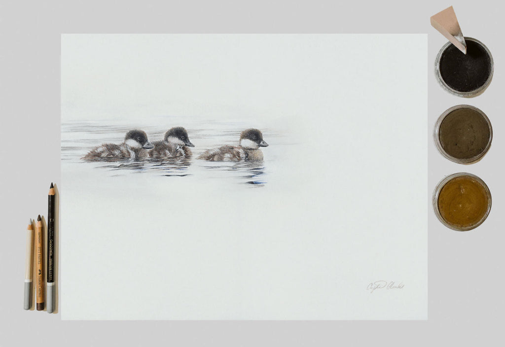 'Room to Breathe' Duckling Fine Art Print image 2