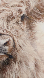 'Effie' Framed Canvas Print image 1