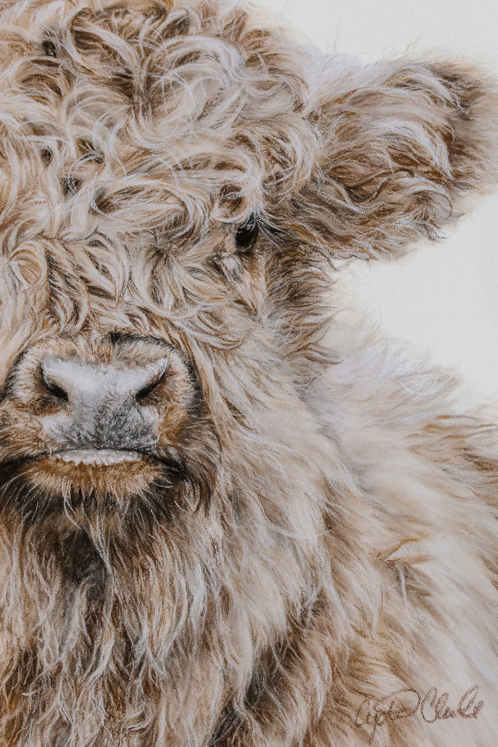 "Effie" Highland Cow Fine Art Print image 1