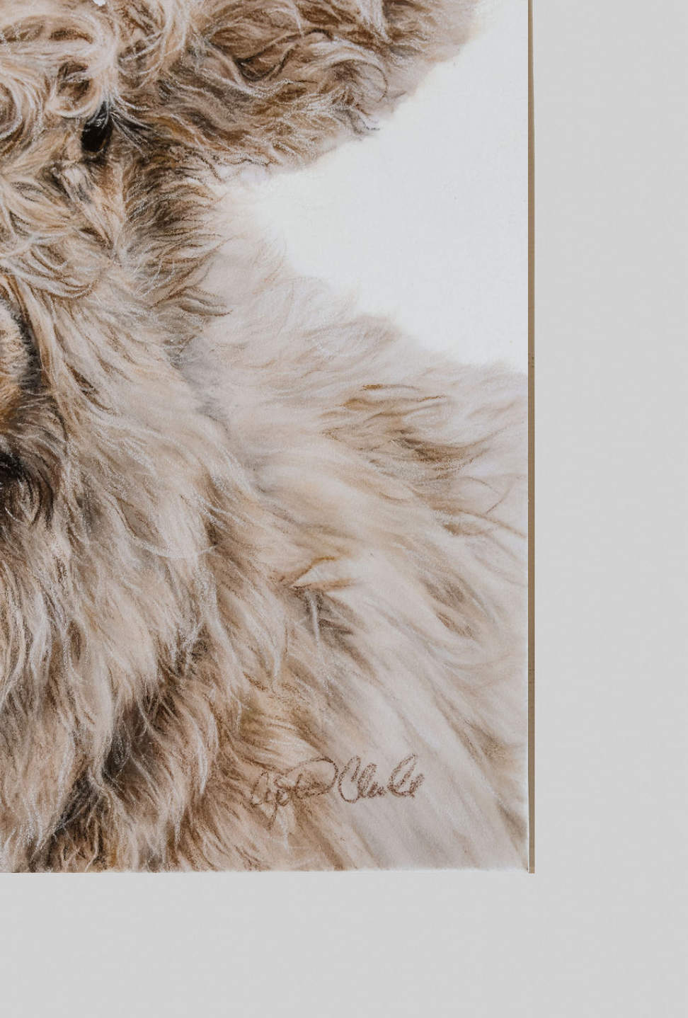 "Effie" Highland Cow Fine Art Print image 4