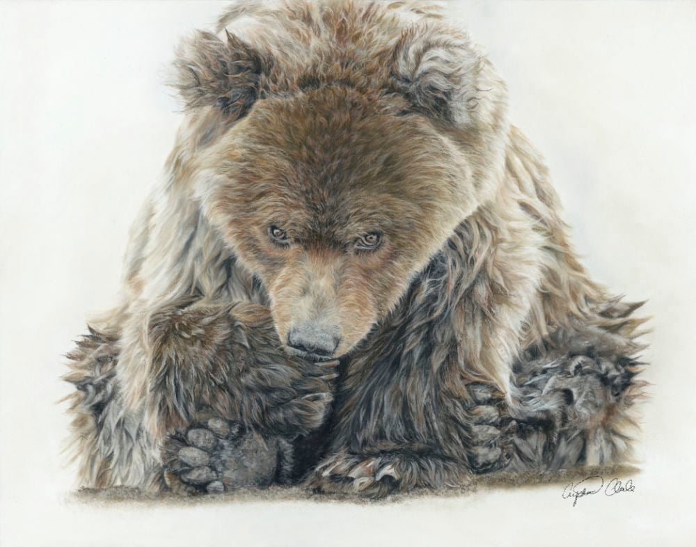 'Fierce' Bear Fine Art Print image 0