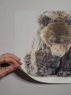 'Fierce' Bear Fine Art Print image 3