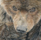 'Fierce' Bear Fine Art Print image 1