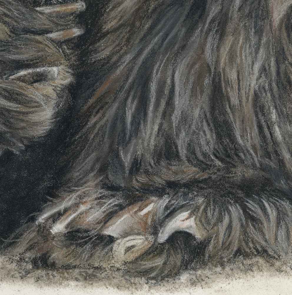 'Fierce' Original bear pastel artwork image 5