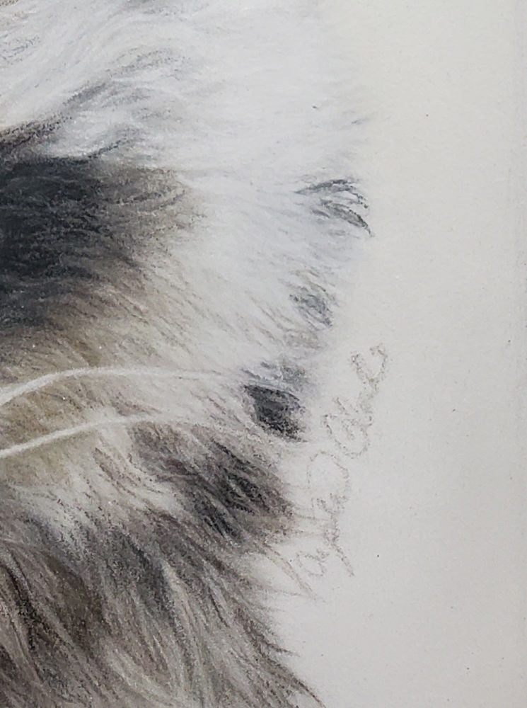 'Little Bandit' Raccoon Fine Art Giclee Print image 2