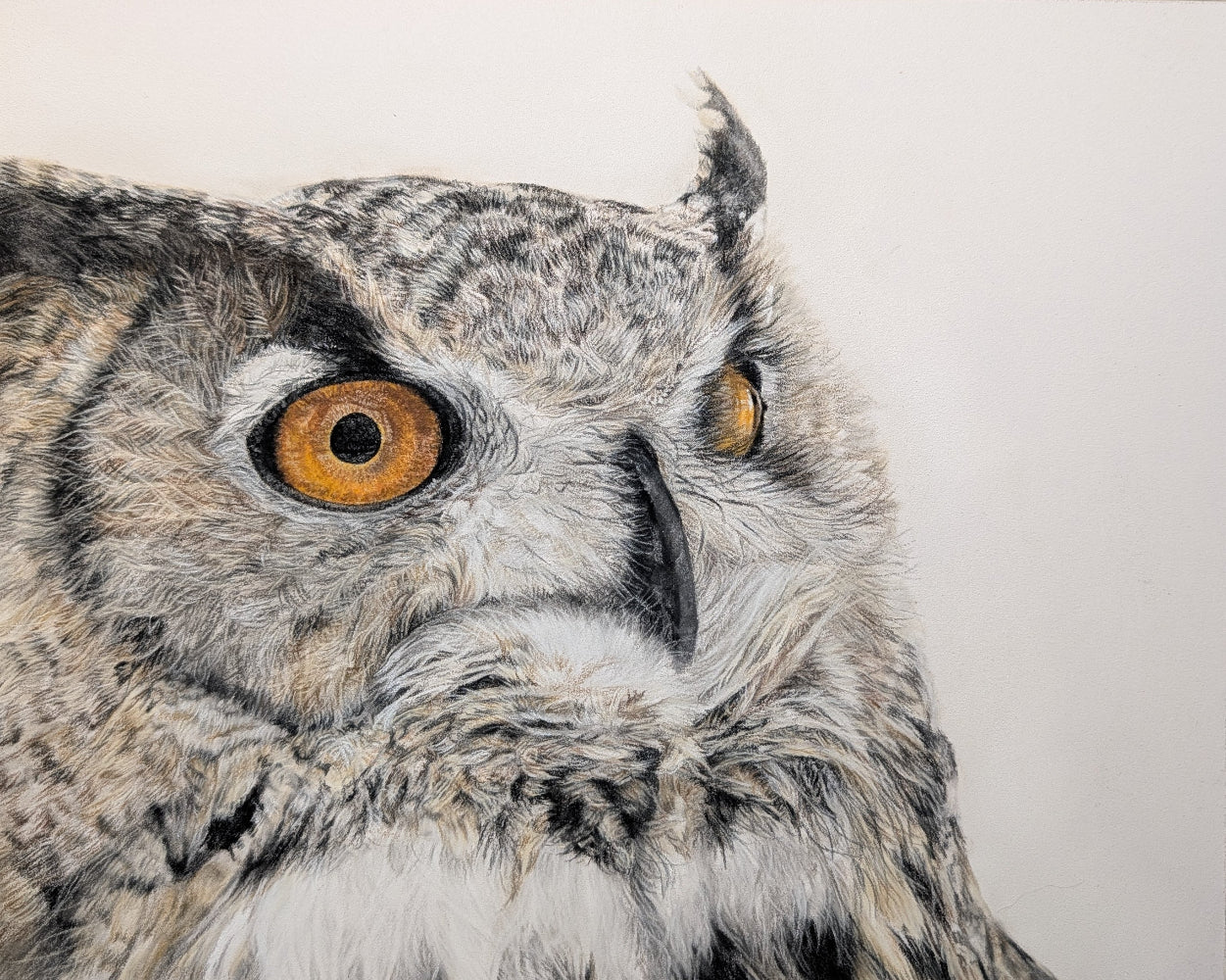 Close-up of an owl's face with a neutral background drawn in pastel