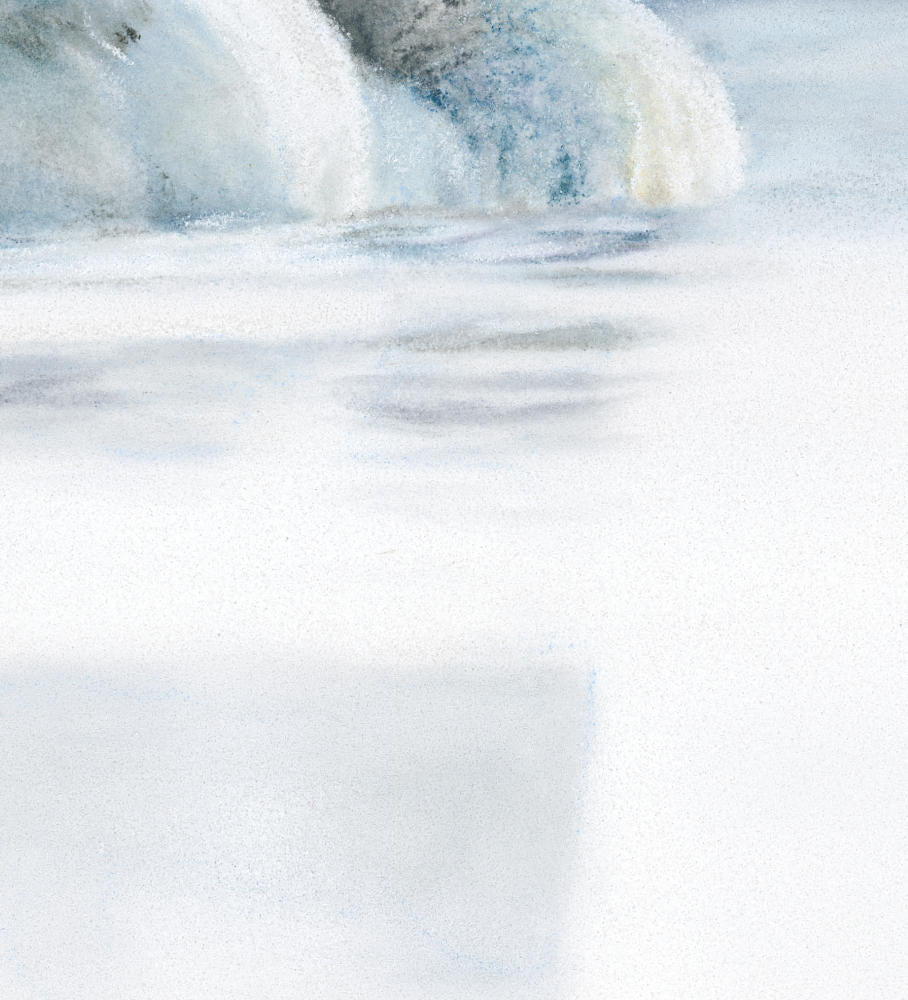 'First Light' Swan Fine Art Print image 2