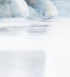 'First Light' Swan Fine Art Print image 2