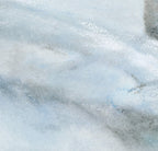 'First Light' Swan Fine Art Print image 4