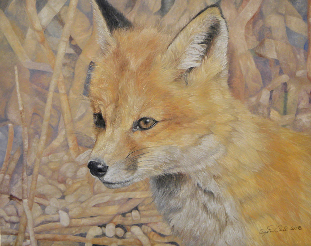 Pastel drawing of a fox in a natural setting