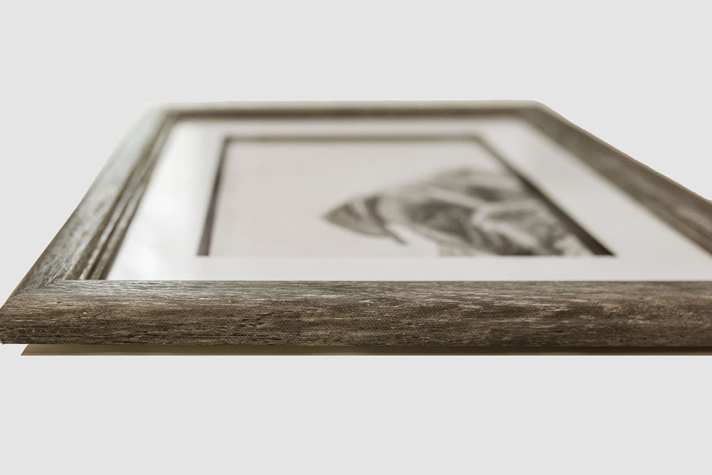 Framed black and white pastel drawing on a light gray background