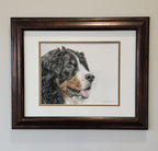 Framed artwork of a Bernese mountain dog's head