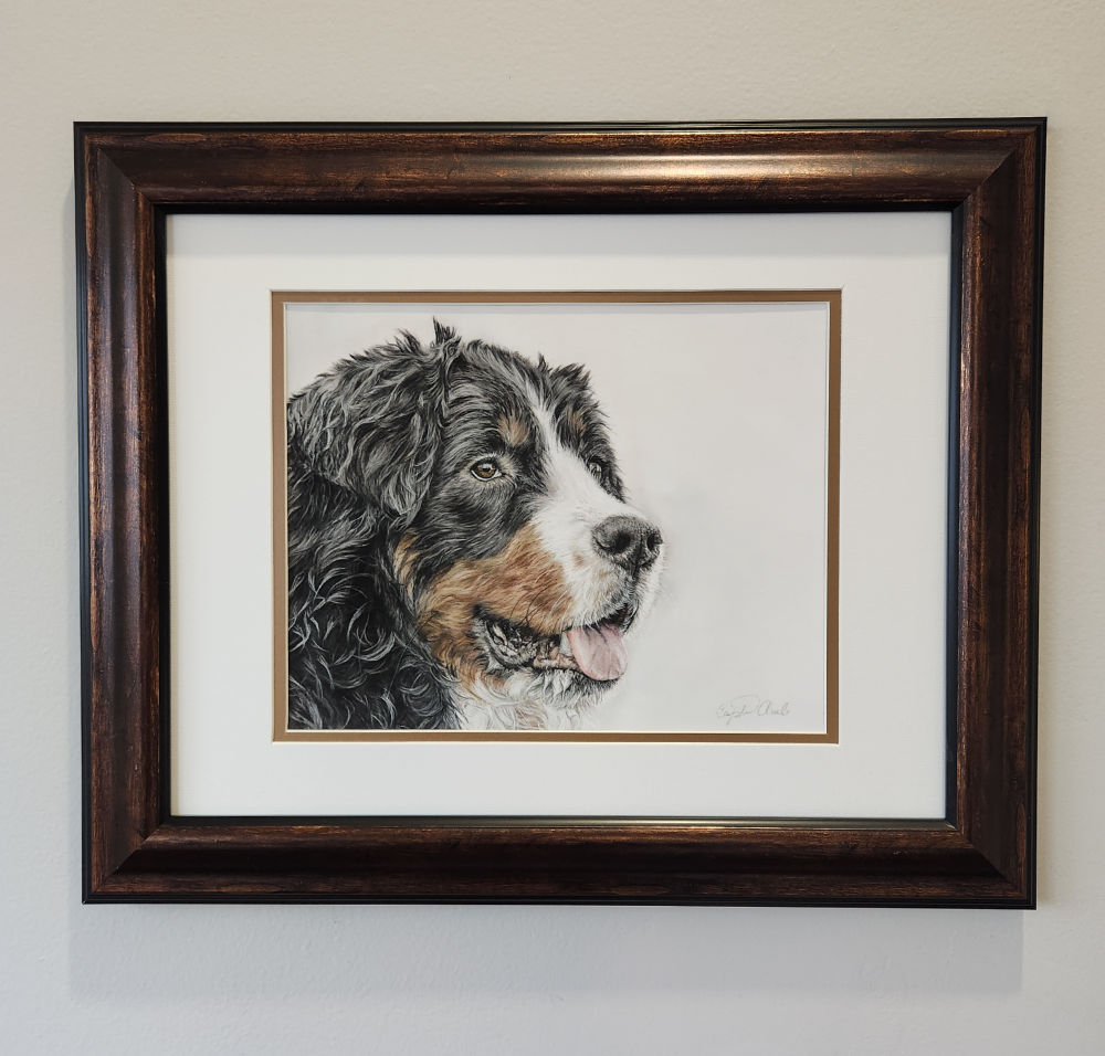 Framed artwork of a Bernese mountain dog's head