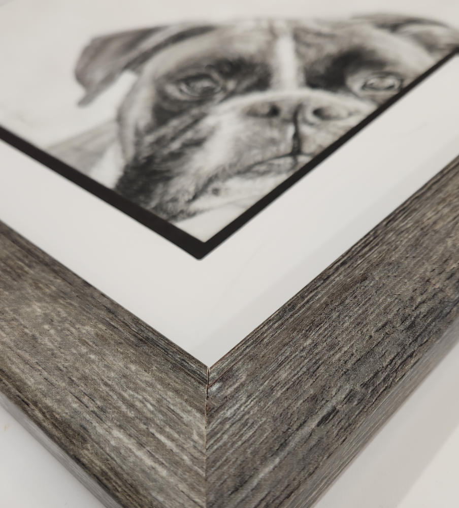 Framed pastel  drawing of a boxer dog's face on a white background