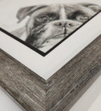 Framed pastel  drawing of a boxer dog's face on a white background