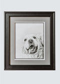 Framed black and white portrait of a dog on a light gray background