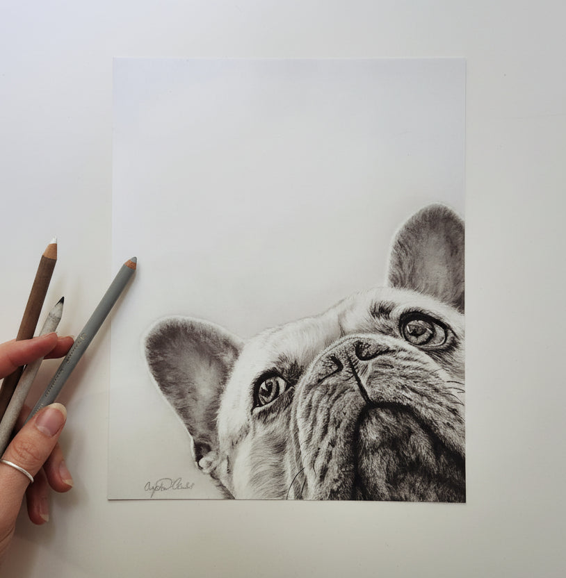 French Bulldog Fine Art Giclee Print "I See You" image 2