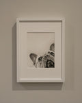 French Bulldog Fine Art Giclee Print "I See You" image 4