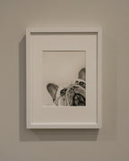 French Bulldog Fine Art Giclee Print "I See You" image 4