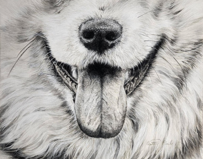 Close-up of a dog's face with a detailed pastel pencil drawing style.