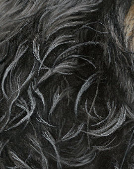 Close-up of textured pastel drawing of dog fur