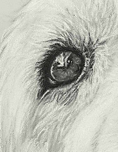 Golden Retriever Fine Art Giclee Print 'Moments of Joy' image 1