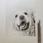 Golden Retriever Fine Art Giclee Print 'Moments of Joy' image 5