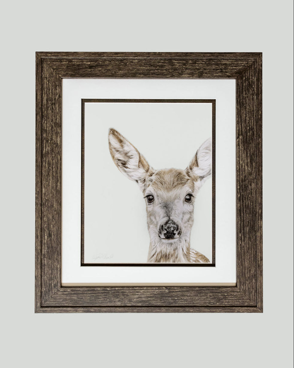 "Grace" Deer Fine Art Print image 1