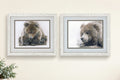 Two framed pictures of bears on a wall.