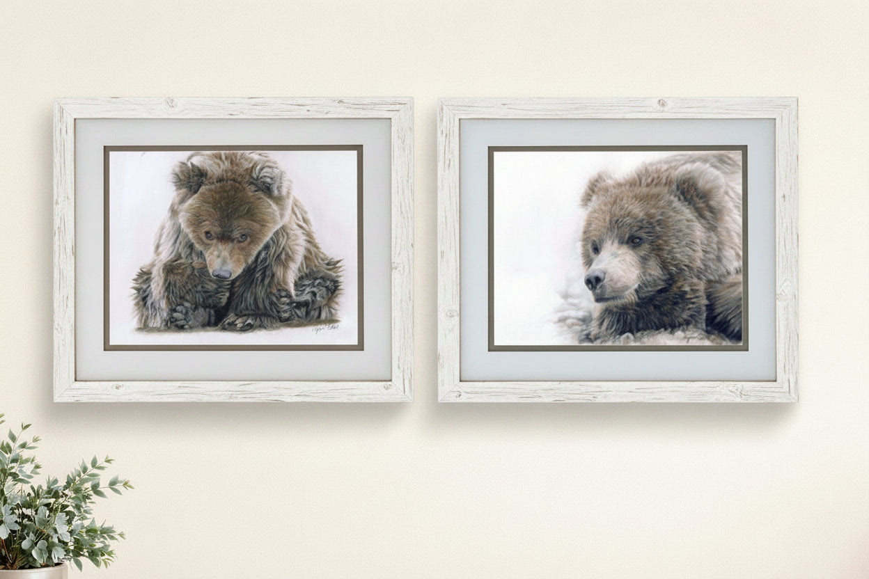 Two framed pictures of bears on a wall.