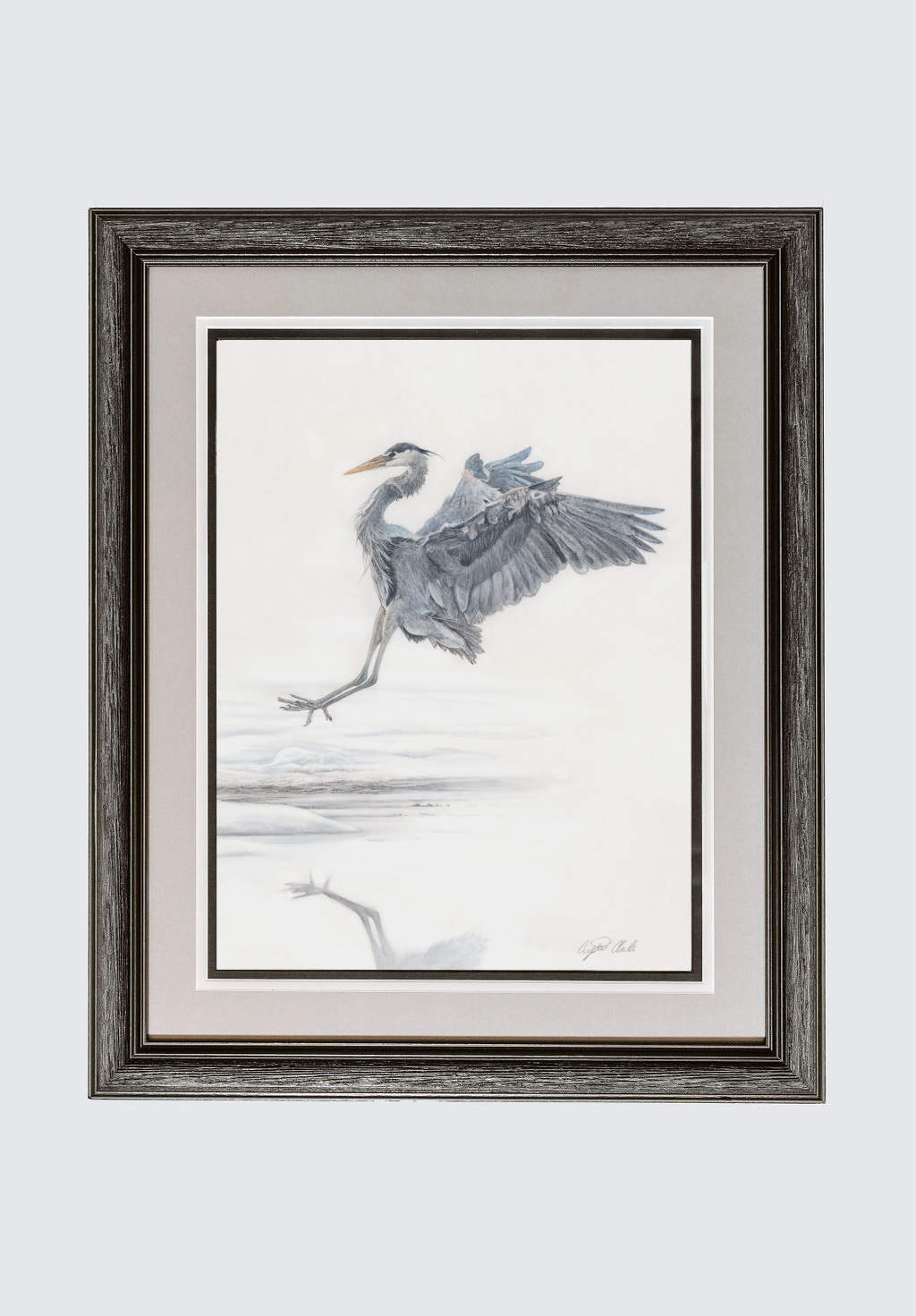 'The Art of Landing' Heron Fine Art Print image 0