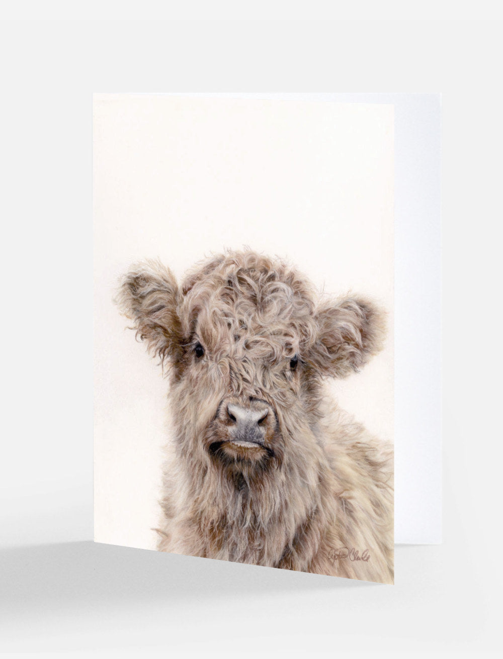 Greeting card of a drawing by Crystal Clarke of a highland cow blank on the inside 
