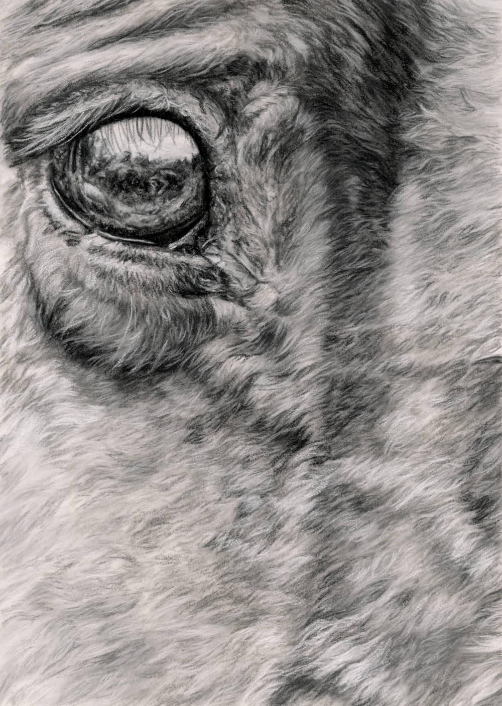 'Perfect Minute Details'Horse Fine Art Print image 0