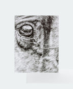 Greeting Card 'Perfect Minute Details' Horse image 0