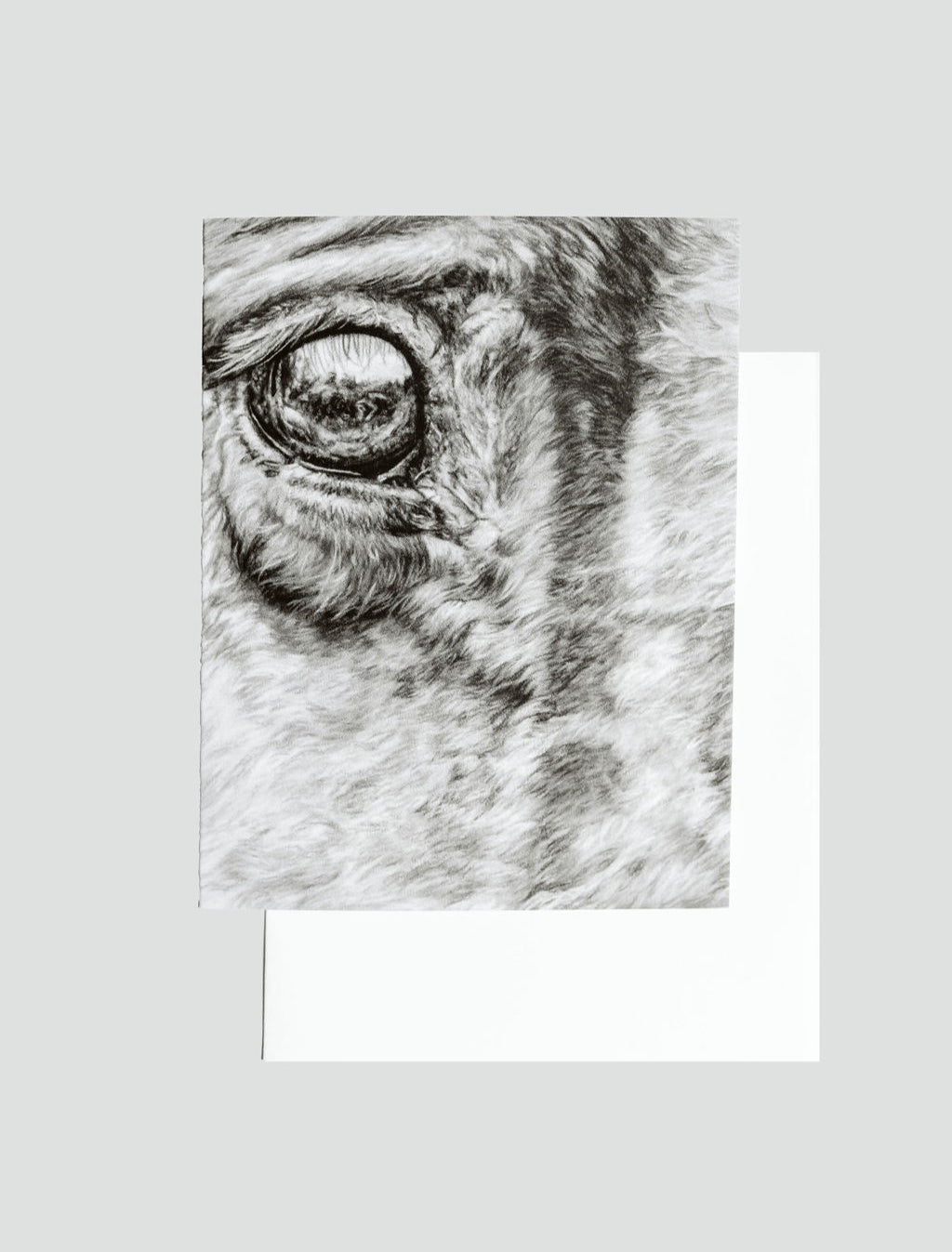 Greeting Card 'Perfect Minute Details' Horse image 2